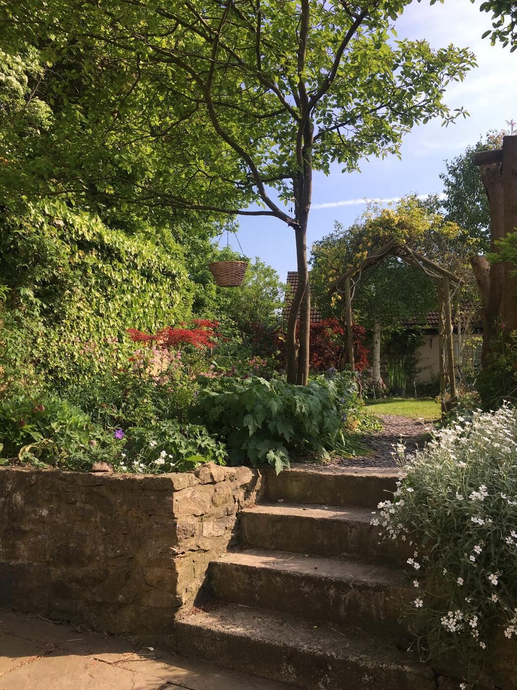Stone steps leading up through the summer garden under an arch